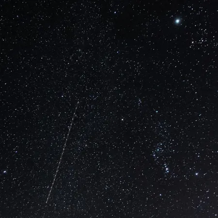 Oli Kazdaglari * איסטמבול