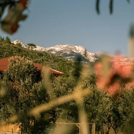 Oli Kazdaglari אתר קמפינג