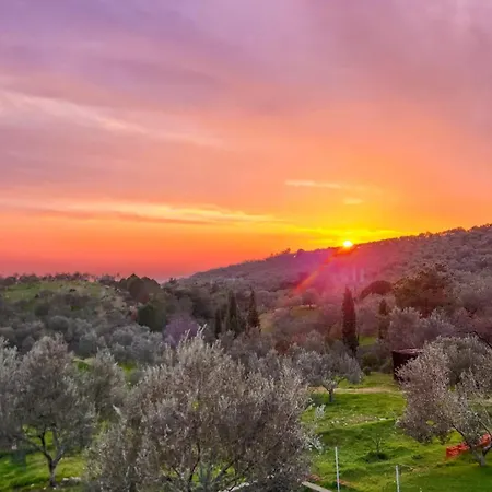 Campsite Oli & Istanbul