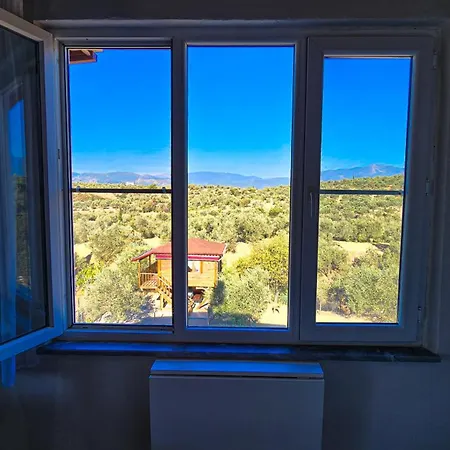 Oli Kazdaglari Camping Istambul