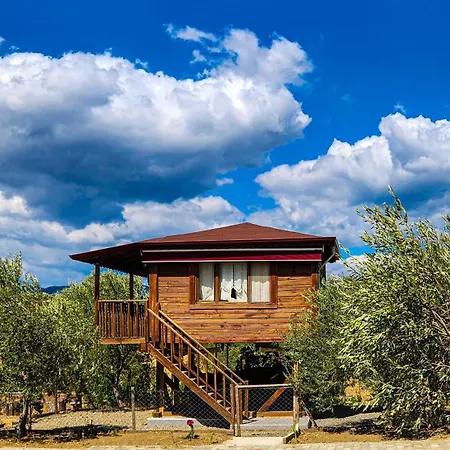 Oli Kazdaglari Camping