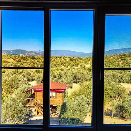 Oli Kazdaglari Parque de Campismo Istambul