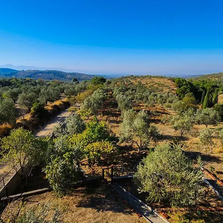 Parque de Campismo Oli Kazdaglari Istambul