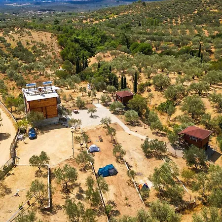 Oli Kazdaglari Parque de Campismo Istambul