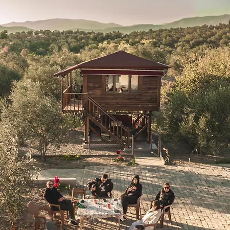 Oli Kazdaglari * Istambul