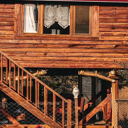 Oli Kazdaglari Camping Istambul