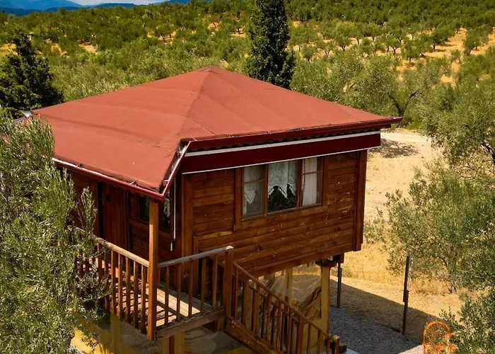 Κάμπινγκ Oli Kazdaglari *