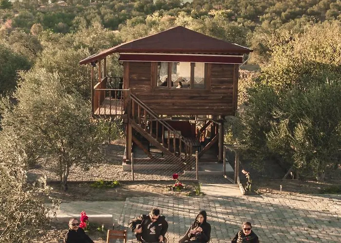 Oli Kazdaglari * Κωνσταντινούπολη