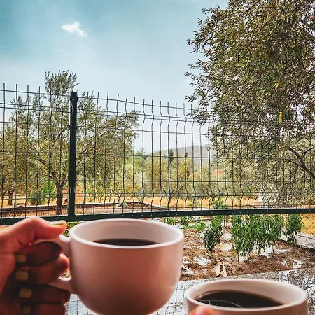 Kamp alanı Oli Kazdağları