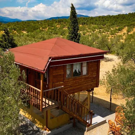 Kamp alanı Oli Kazdağları *