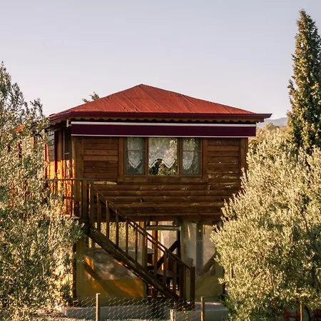 Kamp alanı Oli Kazdağları