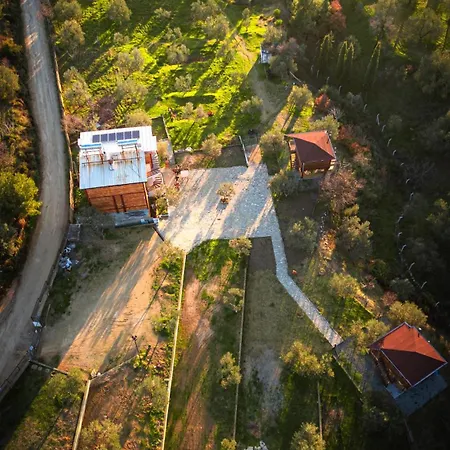 Oli Kazdağları * İstanbul