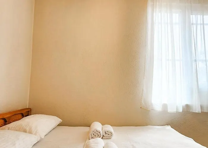 Oli Kazdağları İstanbul