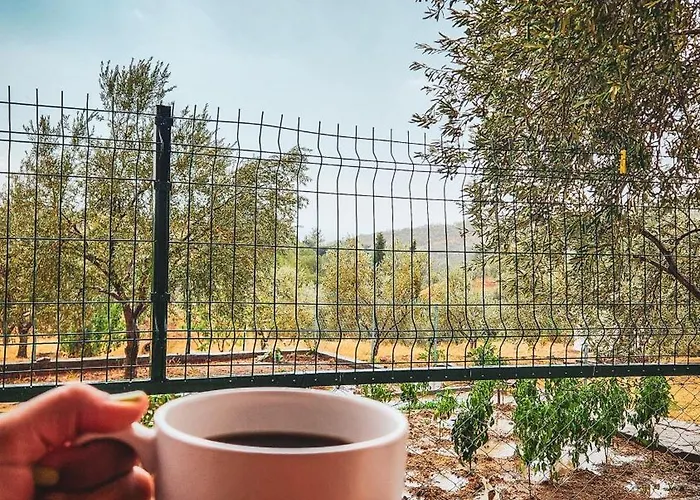 Kamp alanı Oli Kazdağları