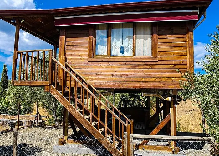 Kamp alanı Oli Kazdağları İstanbul