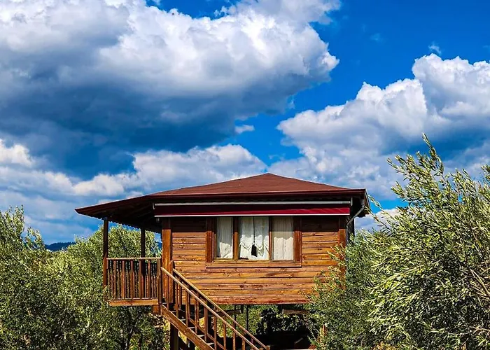 Oli Kazdağları Kamp alanı