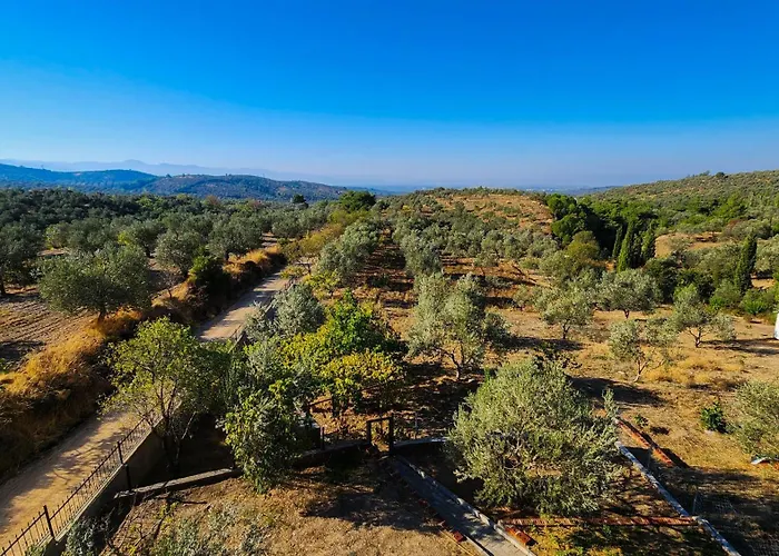 Kamp alanı Oli Kazdağları İstanbul