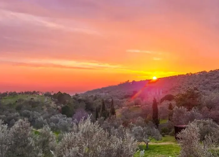 Kamp alanı Oli Kazdağları İstanbul