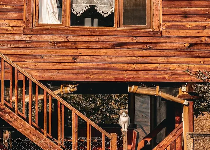 Oli Kazdağları Kamp alanı İstanbul