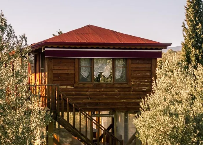 Kamp alanı Oli Kazdağları