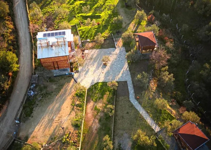 Oli Kazdağları * İstanbul